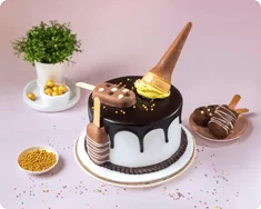 Choco Ice Cake
