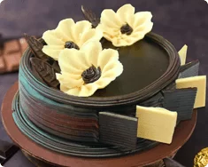 Choco Ivory Cake